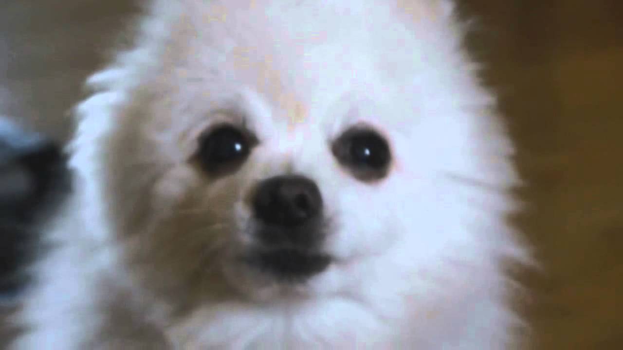 gabe the images gabe the gabe the images gabe the
