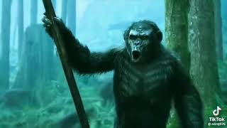 Dawn Of The Planet Of The Apes 2014 Ll In Hindi Ll Bandar Movies