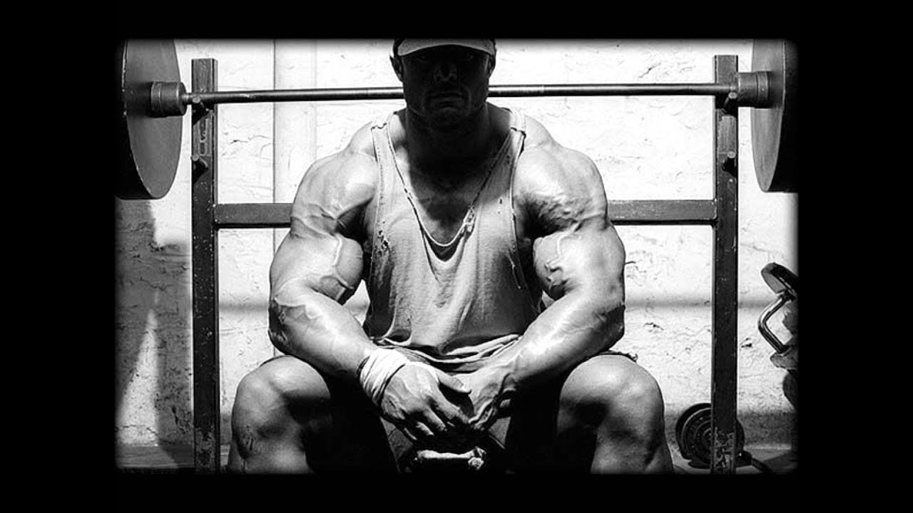 VIDEO MOTIVACIONES video motivaciones: