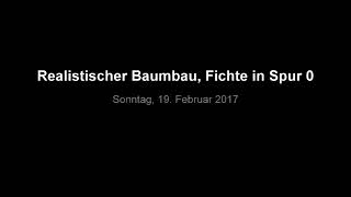 Realistischer Baumbau Eine Fichte In Der Spur 0 Endsteht