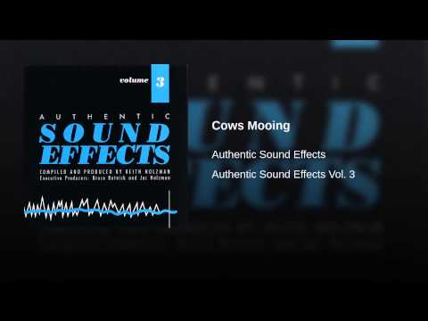 Jac Holzman - Authentic Sound Effects Volume 7 Jac Holzman - Authentic Sound Effects Volume 7