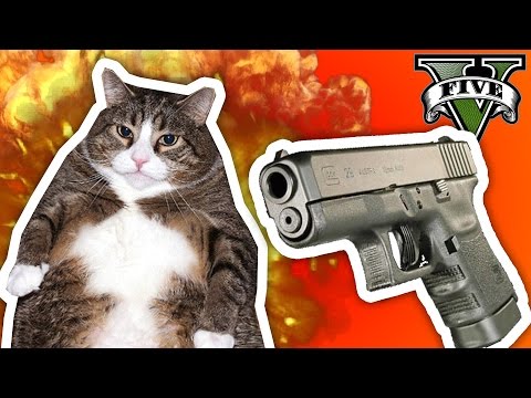 ¡¡MATANDO GATITOS EN GTA 5!! ¡¡MATANDO GATITOS EN GTA 5!! #1