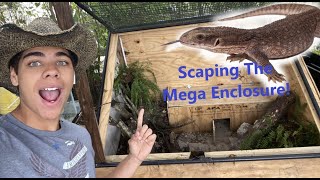 Decorating And Setting Up Steve Savannah Monitor Giant Outdoor Enclosure