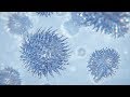 CGC Classic: Creating a Microscopic Effect (Blender 2.6)