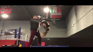 Training System - Alex Lee - Acrobatics & Gymnastics