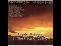 David Friesen - In The Place Of Calling
