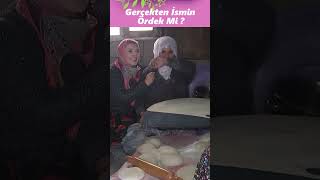 Bir Yaşımıza Daha Girdik Bahar Kapıda