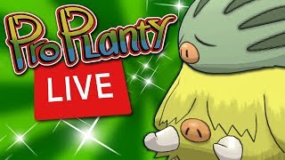 Shiny Swinub Community Day Pokemon Go