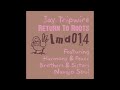 Jay Tripwire - Navajo Soul