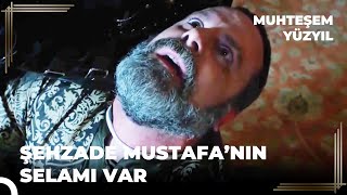 Rüstem Paşanın Sonu Muhteşem Yüzyıl 137. Bölüm