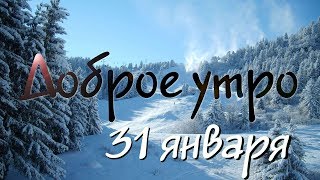 Доброе Утро - Выпуск 66 (31.01.2019)