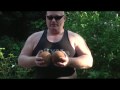 slingshot