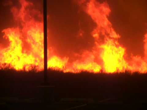 Sayre Fire, Sylmar CA - CLOSE UP, 11-15-08. Nov 15, 2008 3:32 PM. We were in the parking lot at Olive View. The fire was several hundred yards awayand