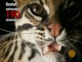 Capturing America's Endangered Species