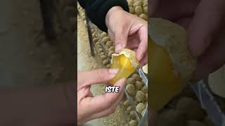 Çinde Üretilen Sahte Tavuk Yumurtaları..