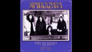 Watch Spirogyra The Forest Of Dean video