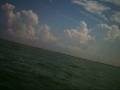 Video de Pescaria tubarao kayak golfo mexico