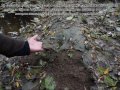 Запрещенный сброс сточных вод с месторождения россыпного золота