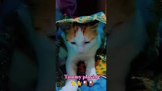 Tommy Playing