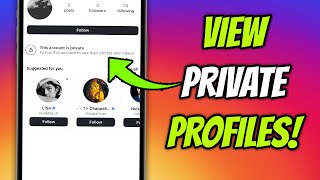 Is It Possible To View Private Instagram Profiles?