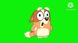 All Asianet And Bluey Bingo Parrot Green Screen