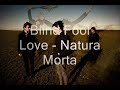 view Natura Morta