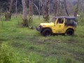 image Jimny Jangkrik At Tabanan Bali2
