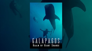 Galapagos Realm Of Giant Sharks