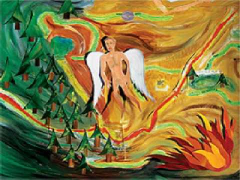 Jeff Ament - The Forest