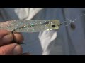 BEST SOFT PLASTIC lure to imitate ballyhoo or needlefish