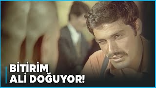Ceza Türk Filmi Ali, İntikam Almaya Hazır