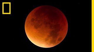 Lunar Eclipse 101 | National Geographic
