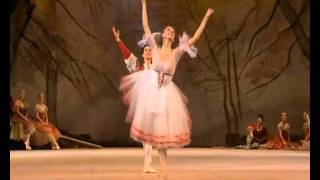 Excerpts From Giselle 2011 With The Bolshoi Ballet Of Moscow Excerpts From Giselle 2011 With The Bolshoi Ballet Of Moscow