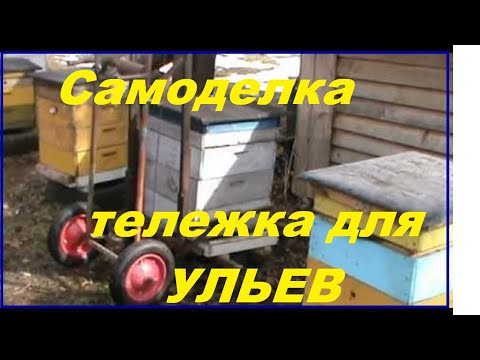 Станки по дереву рейсмус видео Станки по дереву рейсмус видео