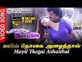 Mayil Thogai Azhaithal HD Video Song HD AUDIO | SarathKumar | Nagma | SPB | Laxmikanth Pyarelal