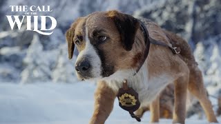 The Call of the Wild | Wild Places Clip | 20th Century Studios