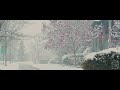 Oakville Snowfall in Spring | BMPCC4K