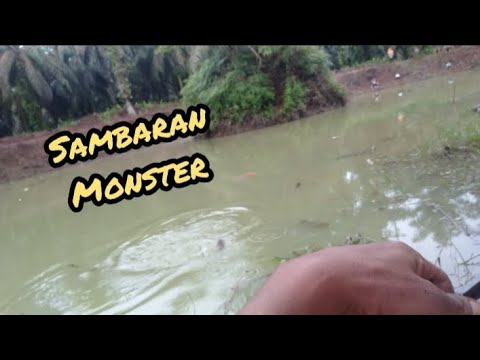 SENSASI MANCING TERBARU ..!!! BERBURU SAMBARAN MONSTER ‼️@YAKIMIENfishing