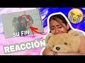 FIFTH HARMONY - DON'T SAY YOU LOVE ME |REACCIÓN| MELI SBEIB