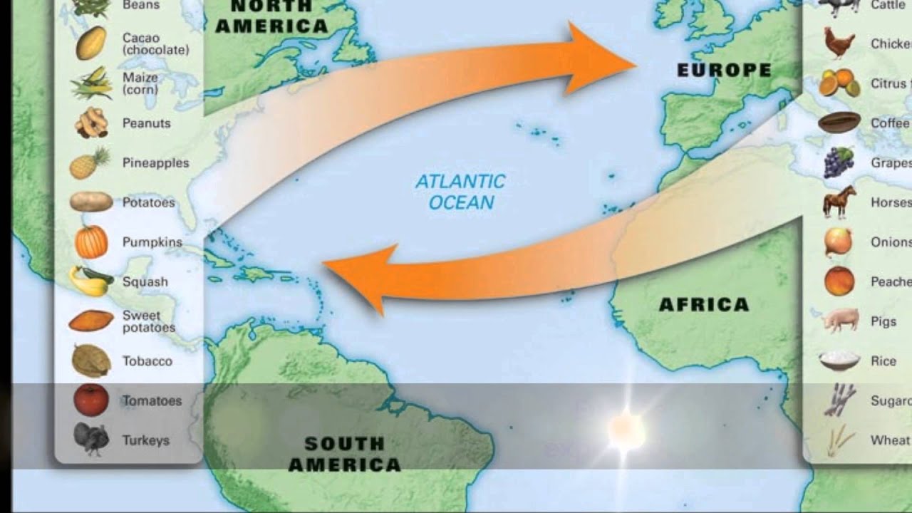 Christopher Columbus Thesis