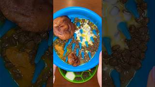 3 Foods To Improve Your Dogs Health