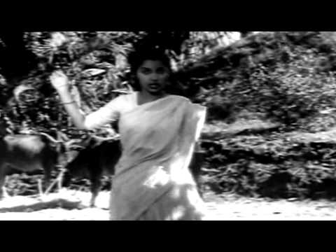 Kaagaz Ke Phool - Ek Do Teen Char Aur Paanch - Geeta Dutt &...