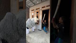 Dikagetin Can Macanan Bocil Ff Baea Pedang