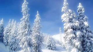 Watch Grandaddy Alan Parsons In A Winter Wonderland video