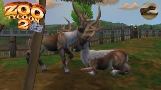 Bush Antlered Deer Zoo Ty 2 Extinct Animals Gameplay