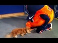 Jack the Sports Dog plays with Otto the Orange