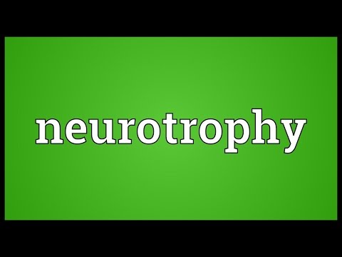Header of neurotrophy