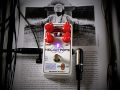 Catalinbread Heliotrope