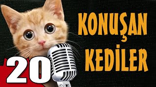 Konuşan Kediler 20 - En Komik Kedi ları