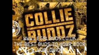 Watch Collie Buddz Bermuda video